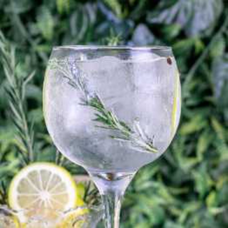 GIN TÔNICA GT